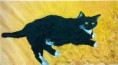 /album/paintings/%ea%b9%80%ec%88%98%ec%97%b0-black-cat%2c-krashy-%283%29-jpg/